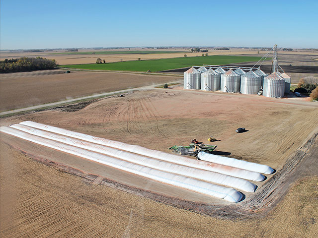 Grain bags can be 300 feet long and hold 12,000 to 15,000 bushels for temporary storage. (Courtesy photo)